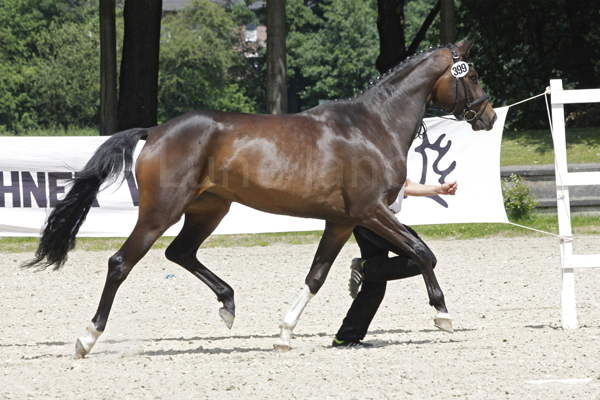 My Joy © Lune Jancke